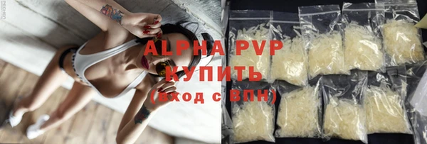 гашик Абаза