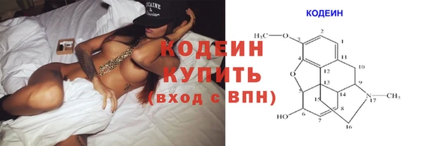 индика Абинск