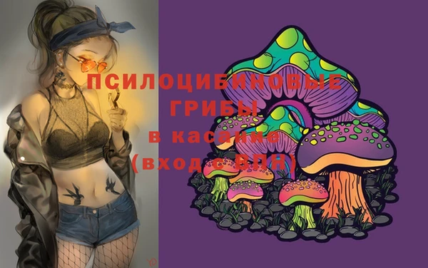 гашик Абаза