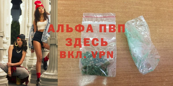 индика Абинск