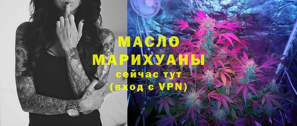 индика Абинск