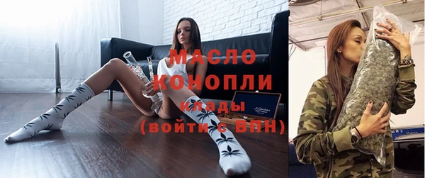 индика Абинск