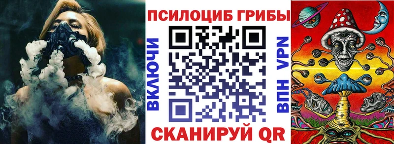купить закладку Энем blacksprut вход Галлюциногенные грибы Magic Shrooms